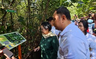 Ikhtiar Bu Mega Memperbanyak Kebun Raya: Kerap Gotong Royong dan Nirlaba - JPNN.com