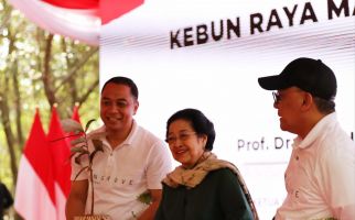 Megawati Beber Manfaat Kebun Mangrove bagi Bumi - JPNN.com