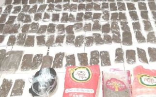 Bawa 9 Kg Ganja, WN PNG Dibekuk Polisi di Papua - JPNN.com