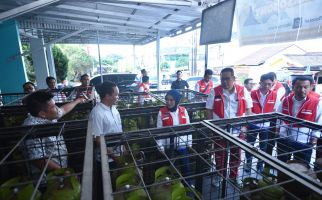 Cek Langsung Penyaluran LPG 3 Kg di Wilayah Sumsel, Dirut Pertamina Sampaikan Hal Ini - JPNN.com