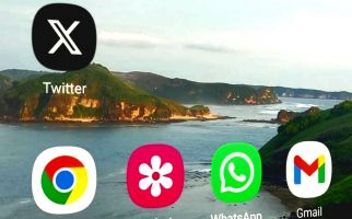 Alasan Apple Tak Mengizinkan Twitter Ubah Logo ke X, Ternyata.. - JPNN.com