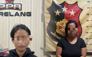 Jual Bayi ke Warga Medan Rp 11 Juta, Ibu Muda di Batam Ditangkap Polisi - JPNN.com