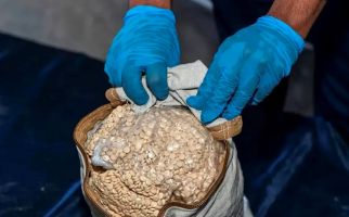 Arab Saudi Kemasukan Ratusan Ribu Butir Narkoba Captagon, Apa Itu? - JPNN.com