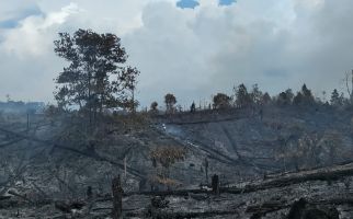 Diduga Merambah dan Bakar Hutan Lindung TNTN Riau, 2 Pria Ini Ditangkap Polisi - JPNN.com