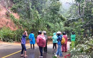 Longsor di Kelok Jariang Kilometer 26, Akses Jalan Sumbar-Bengkulu Lumpuh - JPNN.com