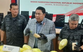 BNN Sita 247 Kg Narkotika dari 5 Kasus di Sumatera, Ada Varian Baru - JPNN.com