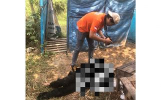 Pria Ditemukan Tewas di Pinggir Kali Cipegadungan Bekasi, Warga Geger - JPNN.com