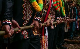 Begini Pembuatan Perahu Untuk Pacu Jalur di Kuansing, Ada Ritual Magis - JPNN.com