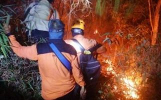 Kebakaran Hutan Melanda Kawasan Gunung Ciremai, Ratusan Petugas Diturunkan untuk Menjinakkan Api - JPNN.com