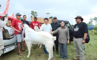 Melihat Kontes Kambing Senduro, Harga Satu Ekor Bisa Mencapai Ratusan Juta Rupiah - JPNN.com