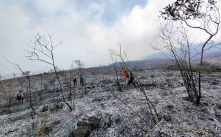 Ada Kebakaran Hutan, Pendakian Gunung Arjuno Ditutup - JPNN.com