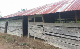 Memprihatinkan 43 Siswa SD Negeri di Riau Belajar di Gubuk Mirip Kandang Ayam - JPNN.com