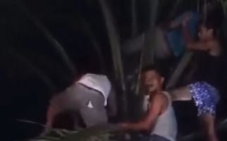 Seorang Pria Tewas di Atas Pohon Kelapa Sawit Saat Berburu Ayam Hutan - JPNN.com