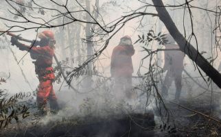 4.082,8 Hektare Lahan dan Hutan di Sumsel Terbakar - JPNN.com
