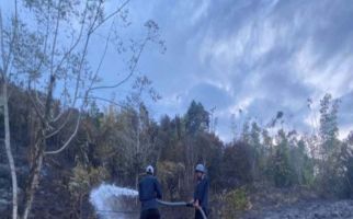 Karhutla Terjadi di Wilayah Desa Pasir Putih Kabupaten Poso, Petugas Terus Berusaha Memadamkan Api - JPNN.com
