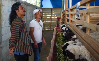 Petani Pesta Panen di Banjarnegara, Program UPLAND Dianggap Berhasil - JPNN.com