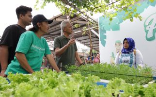 Ganjar Diajak Petani di Kembangan Jakarta Panen Anggur dan Tanam Cabai - JPNN.com