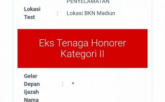 Kategori Peserta Honorer Kosong di Resume Pendaftaran PPPK 2023, Amankah? Simak Penjelasan BKN - JPNN.com