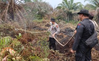 Daftar Delapan Daerah di Riau yang Berstatus Siaga Darurat Karhutla - JPNN.com