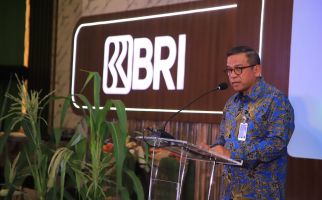 Optimalisasi Peluang, Kinerja Bisnis Wholesale BRI Makin Solid - JPNN.com