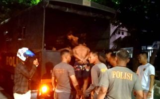 Polisi Tangkap 23 Remaja di Semarang Saat Akan Tawuran - JPNN.com