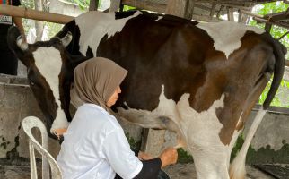 Ganjar Padjajaran Bantu Warga Tingkatkan Hasil Ternak Sapi di Bogor - JPNN.com