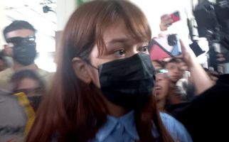 Rebecca Klopper Jalani Sidang di PN Jakarta Selatan, Fadly Faisal Mendampingi - JPNN.com