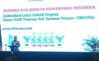 Kurangi Impor Jagung, Kementan Dorong Program Kelapa Sawit Tumpang Sari Tanaman Pangan - JPNN.com