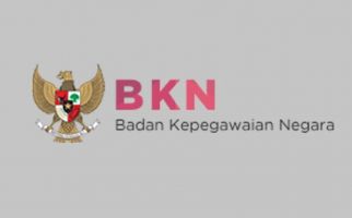 3 Pejabat di 214 Daerah Dilarang Mengangkat ASN Baru, Simak Penjelasan BKN  - JPNN.com