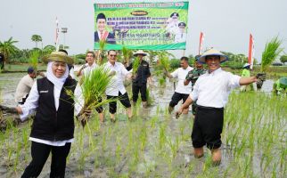 Tingkatkan Produksi Beras Nasional, Mentan Amran Serukan 'Tanam Culik' dari Tuban - JPNN.com