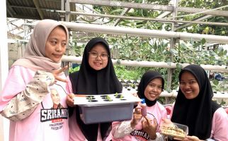 Gandeng Alisa Farm, Srikandi Ganjar Latih Milenial Cara Budi Daya Sayur Hidroponik - JPNN.com