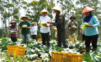 Panen Kol di Hari ke-2 Kampanye, Anies Gemakan Pupuk Murah & Lahan Negara bagi Petani - JPNN.com