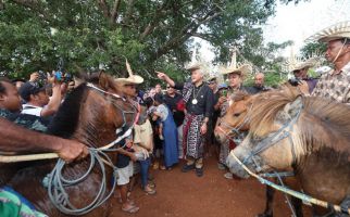Pakai Ti'i Langga Lihat Pacuan Kuda, Ganjar Kagumi Tradisi Hus di Rote - JPNN.com