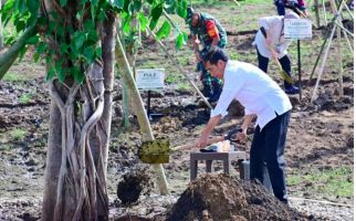 Presiden Jokowi Menanam Pohon Bersama Masyarakat Embung Anak Munting NTT - JPNN.com