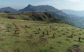 Surveyor Indonesia Cabang Makassar Revitalisasi Taman Binaan Tamalate - JPNN.com