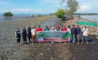 DKP Sulsel Bersama Warga Pesisir Bone Tanam 78 Ribu Pohon Mangrove - JPNN.com