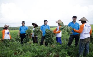 2023 Musim Terpanas Sepanjang Sejarah, Petani Kacang Mengaku Tetap Untung - JPNN.com