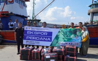 Bea Cukai Dumai Kawal Ekspor Perdana Daun Kelor ke Malaysia - JPNN.com