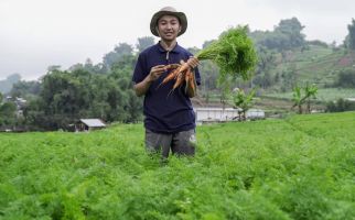 Penghasilan Petani Milenial Asal Banjarnegara Ini Melebihi UMR, Wow - JPNN.com