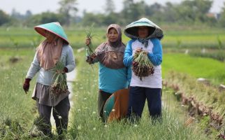 Pakar Pertanian Apresiasi Kebijakan Pangan dan Pertanian di Era Jokowi - JPNN.com