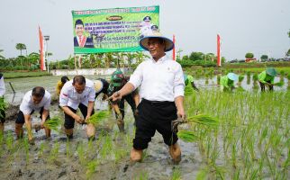 KTNA Siap Tingkatkan Produksi Padi dan Jagung - JPNN.com