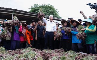 Ganjar Panen Bawang Merah Bareng Petani & Siap Penuhi Kebutuhan Produksi - JPNN.com