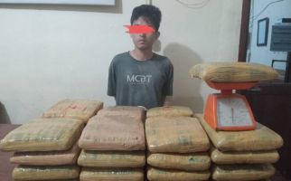 Tangkap Seorang Kurir, Polres Padangsidimpuan Amankan 35 Kg Ganja - JPNN.com