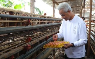Ganjar Masuk ke Kandang Ayam, Terkenang Masa Hidup Berat saat Satu Telur Dibagi Empat - JPNN.com