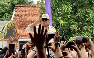 Megawati Ultah ke-77, Prabowo: Semoga Panjang Umur, Sehat Selalu - JPNN.com