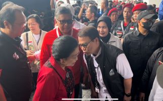 Hasto Diperiksa Polisi, Megawati Tertawa Lalu Bicara Pengalaman - JPNN.com