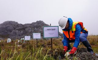 Kunker ke PTFI, Tim KLHK & Bappenas Tanam Rumput Endemik di Ketinggian 4.300 Mdpl - JPNN.com