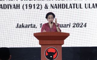 Megawati Ungkap Upaya Memperjuangkan NU-Muhammadiyah Terima Penghargaan Zayed Award - JPNN.com