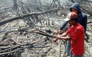Bakar Lahan untuk Buka Kebun Sawit, Petani di Rohil Diamankan Polisi - JPNN.com