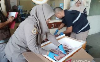 49 Kg Daging Sapi Tanpa Sertifikat Kesehatan Disita Karantina Papua Barat - JPNN.com